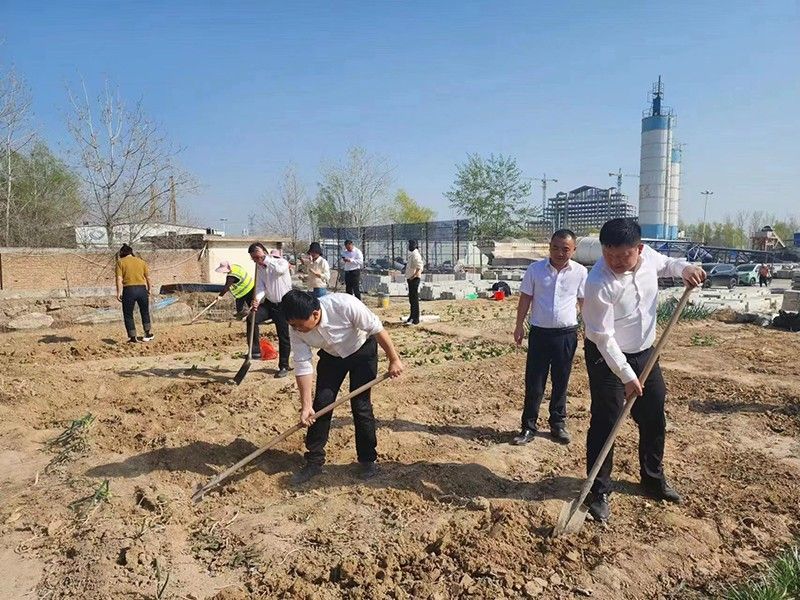 “春播添新綠，不負(fù)好春光”-城建新型材料公司黨支部開展主體黨日活動(dòng)